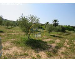 TERRENO CON POSIBILIDAD DE CONSTRUIR DOS CASITAS DE CAMPO MUY CERCA TÉRMINO AGULLENT