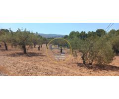 NAVE UBICADA EN AMPLIA PARCELA EN ONTINYENT