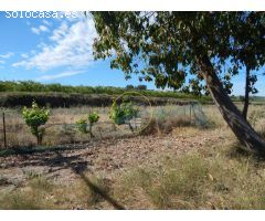 TERRENO CON REFUGIO EN AGULLENT