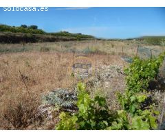 TERRENO CON REFUGIO EN AGULLENT