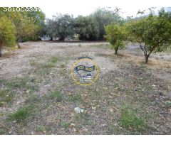OPORTUNIDAD GRAN CASA DE CAMPO A LA VENTA EN ONTINYENT