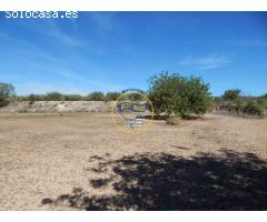 TERRENO DE 17.900M2  EN PRODUCCIÓN CON POSSIBILIDAD DE CONSTRUIR EN AGULLENT(VALENCIA)