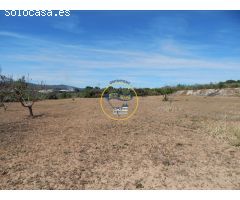 TERRENO DE 17.900M2  EN PRODUCCIÓN CON POSSIBILIDAD DE CONSTRUIR EN AGULLENT(VALENCIA)