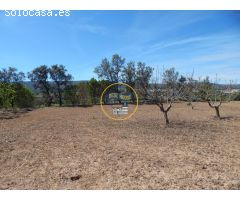 TERRENO DE 17.900M2  EN PRODUCCIÓN CON POSSIBILIDAD DE CONSTRUIR EN AGULLENT(VALENCIA)