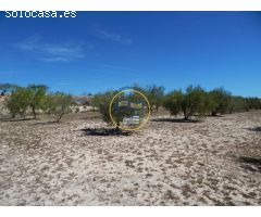 TERRENO DE 17.900M2  EN PRODUCCIÓN CON POSSIBILIDAD DE CONSTRUIR EN AGULLENT(VALENCIA)