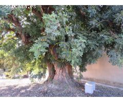 AMPLIA PARCELA CON NAVE DE 200M2 APROX A LA VENTA EN ONTINYENT