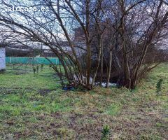 SE VENDE FINCA RUSTICA EN SILLEDA