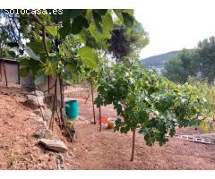 TERRENO URBANIZABLE EN VENTA EN CREU SUSSALBA