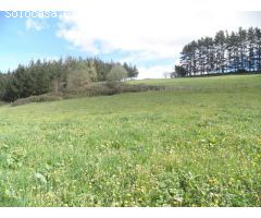 Chalet en Venta en Mallabia, Bizkaia