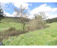 Chalet en Venta en Mallabia, Bizkaia