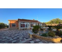 CHALET CON PISCINA A UN PASO DE  ELCHE