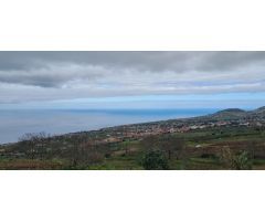 TINERCSA VENDE EN RAVELO, EL SAUZAL, MAGNIFICA FINCA RÚSTICA