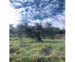 Casa de campo en Venta en Castellvi de la Marca, Barcelona