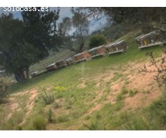 Casa de campo en Venta en Castellvi de la Marca, Barcelona