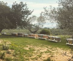 Casa de campo en Venta en Castellvi de la Marca, Barcelona