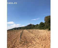 Casa de campo en Venta en Castellvi de la Marca, Barcelona