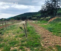 Casa de campo en Venta en Castellvi de la Marca, Barcelona