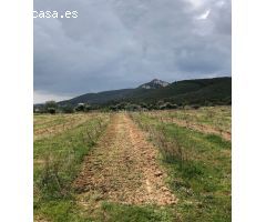 Casa de campo en Venta en Castellvi de la Marca, Barcelona