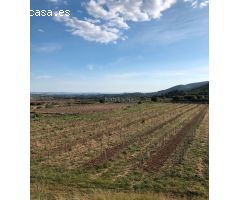 Casa de campo en Venta en Castellvi de la Marca, Barcelona