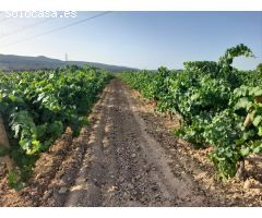 Finca rustica en Venta en Castellet i la Gornal, Barcelona