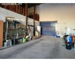 Nave y vivivenda con piscina en los Ramos, Murcia.