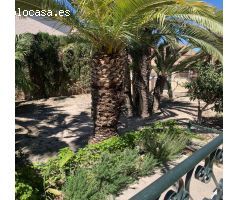 Chalet en Venta en Novelda, Alicante
