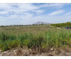Parcela en Venta en Torrevieja, Alicante