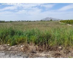 Parcela en Venta en Torrevieja, Alicante