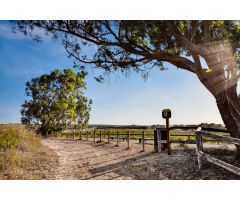 Chalet en Venta en Torrevieja, Alicante