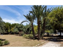 Atico en Venta en Torrevieja, Alicante