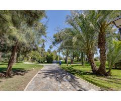 Atico en Venta en Torrevieja, Alicante