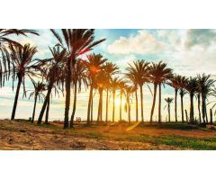 Apartamento en Venta en Torrevieja, Alicante