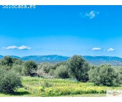 Finca Rústica Son Binissalom -  San Jordi
