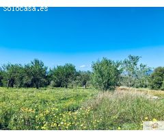 Finca Rústica Son Binissalom -  San Jordi