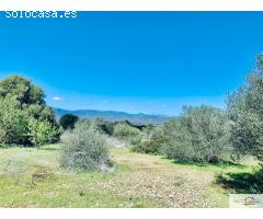 Finca Rústica Son Binissalom -  San Jordi