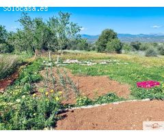 Finca Rústica Son Binissalom -  San Jordi