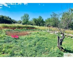 Finca Rústica Son Binissalom -  San Jordi
