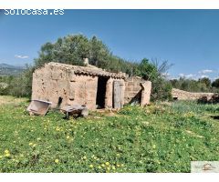 Finca Rústica Son Binissalom -  San Jordi