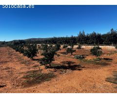 Casa de campo en Venta en Alzira, Valencia