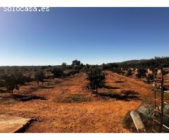Casa de campo en Venta en Alzira, Valencia