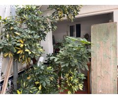 Casa de Pueblo en Venta en La Albericia, Valencia