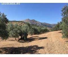 se vende Finca Rustica en Antequera