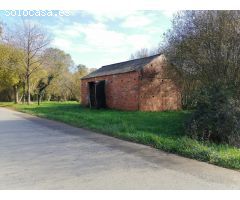 SE VENDE TERRENO CON ARBOLEDA Y UNA PEQUEÑA EDIFICACIÓN EN CASTRO DE REI