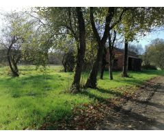 SE VENDE TERRENO CON ARBOLEDA Y UNA PEQUEÑA EDIFICACIÓN EN CASTRO DE REI