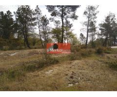 SE VENDE FINCA RUSTICA ZONA DE CASTELO