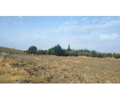 Huerta en venta 