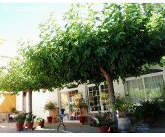 Estupendo chalet en venta