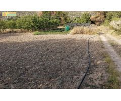 Huerta en venta