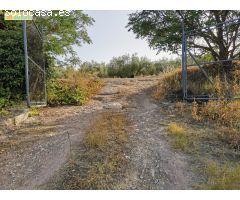 Huerta en venta