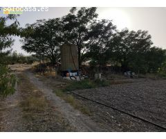 Huerta en venta